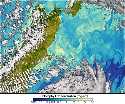 Subtropische Algenblüten in den Gewässern um Neuseeland