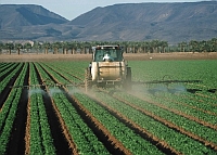 pesticide application