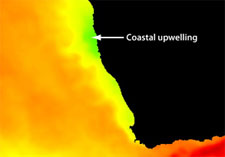 Coastal upwelling