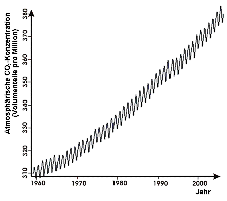 Mauna Loa Carbon Dioxide 1959-2005