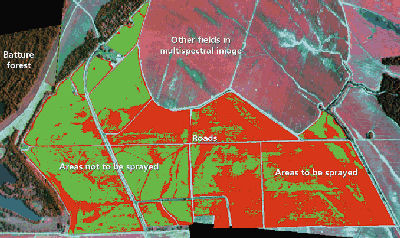 SPOT image of fields near Berzordf Lake (May 2005)