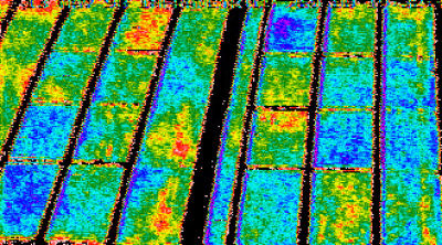 Water content of crop fields with thermal imaging