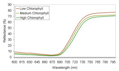 Red edge shift, due to chlorophyll concentration change