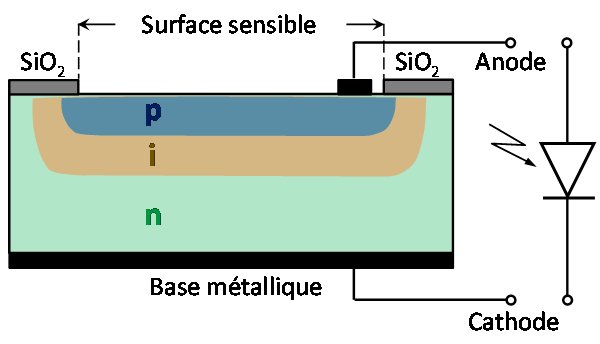 Structure d'une photodiode PIN