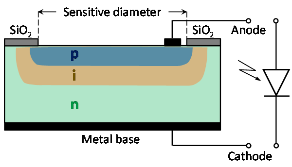 Structure of a pin photodiode