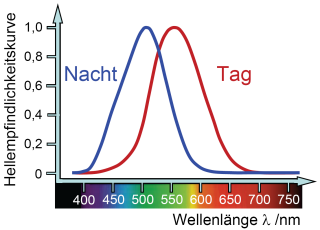 Tag- und Nachtsehen