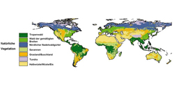 Potenzielle Vegetationsverteilung