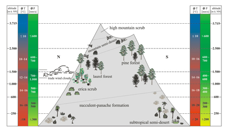 Vegetatie-classificatie van Tenerife