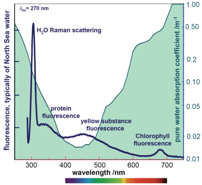 Absorbance and fluorescence of water