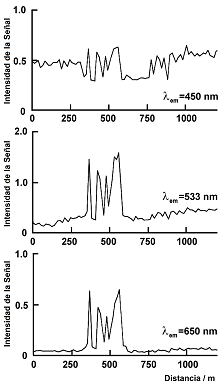 450 nm, 533 nm, 650 nm