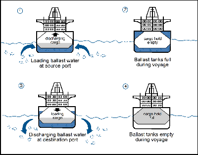 Ballastwassertanks
