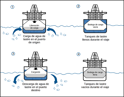 ballast water tanks