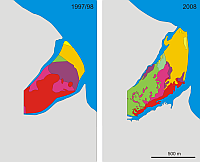 Karte der Verbreitung von Populationen der Miesmuschel und der Pazifischen Auster am Dornumer Nacken, Wattenmeer