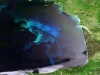 Plankton bloom in the Atlantic Ocean