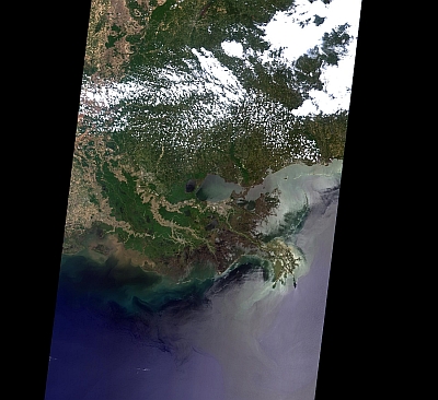 True colour image of the Mississippi delta
