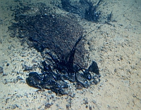 Natural tar seep offshore Gaviota, California