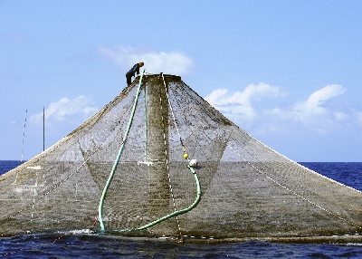 net pens