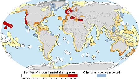 Anzahl mariner invasiver Arten