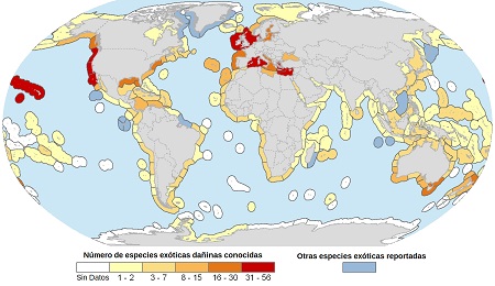 Number of marine invasive species
