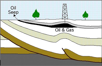 geology of oil bearing sedimentary rocks