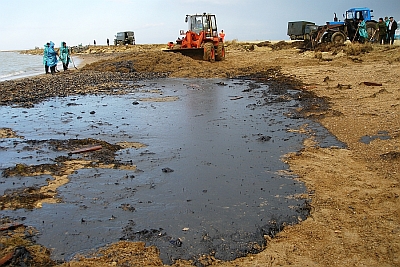 oiled beach