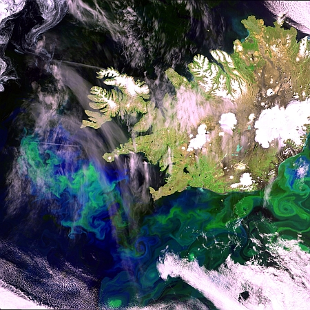 Εικόνα του Envisat πάνω από την Ισλανδία και τα Στενά της Δανίας, που δείχενι άνθιση φυτοπλαγκτού
