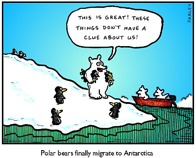cartoon polar bears in the antarctic