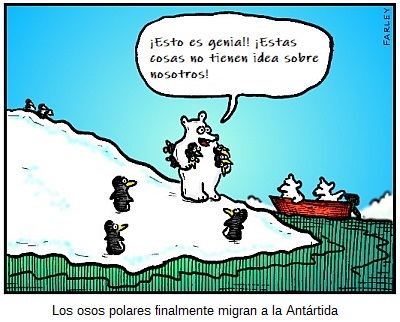 cartoon polar bears in the antarctic