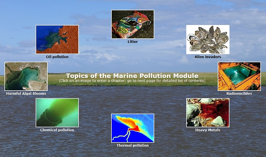 screenshot of the topic overview of the marine pollution module