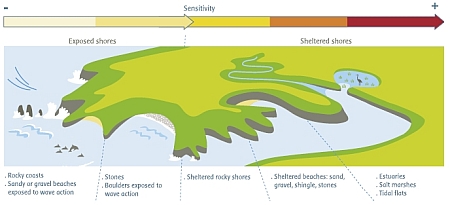 sensitivity of intertidal ecosystems