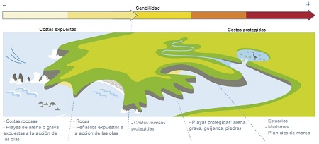 sensitivity of intertidal ecosystems