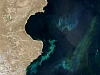 South Atlantic Phytoplankton Bloom