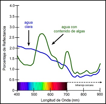 Percent reflectance of blue and green water