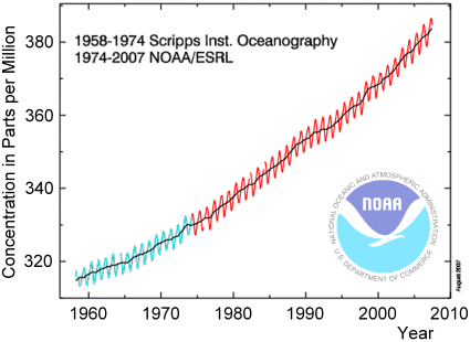 CO2 time-series in the atmosphere