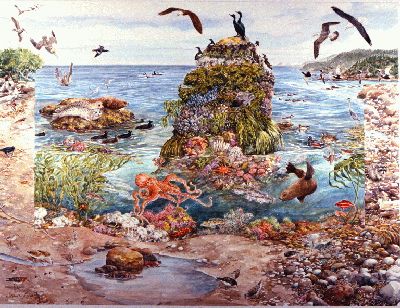 Coastal Ecosystem