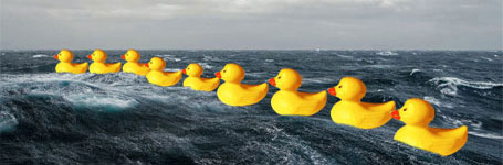 cartoon of ducks at sea