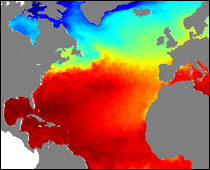 Meeresvorhersagen für den Nordatlantik vom Mercator