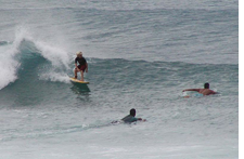 Surfers on Oahu beach