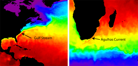 SST images of the two boundary currents