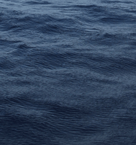 Wind ripples on the sea surface