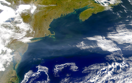 SeaWiFS image of the Gulf Stream