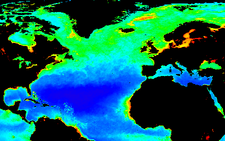 Map of chlorophyll concentrations in the North Atlantic