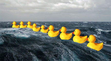 Plastic ducks in a line on the waves