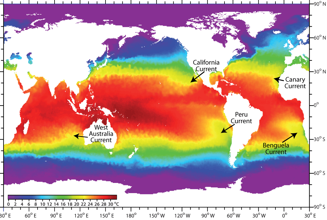 SST images of the two boundary currents