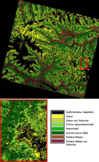 Forest Map