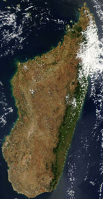 قطع الغابات فى مدغشقر 
