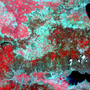 False colour image forests and crops