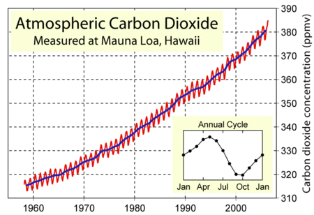 Carbon dioxide at Mauna Loa