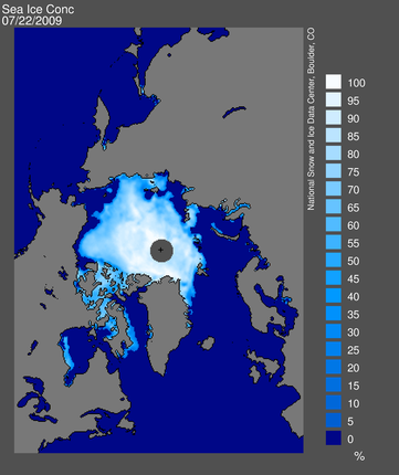 Sea ice concentration