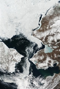 MODIS Bering May 2002